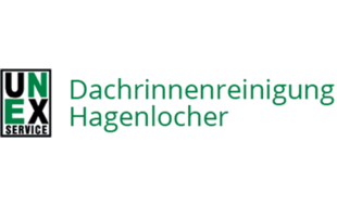 Dachrinnenreinigung Berlin | Hagenlocher - sicher schnell