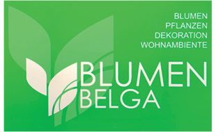 BLUMEN BELGA in Düsseldorf - Logo