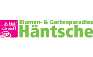 Häntsche Blumen + Gartenparadies in Oberauerbach Stadt Mindelheim - Logo