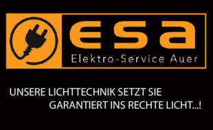 Elektro Service Auer GmbH & Co. KG