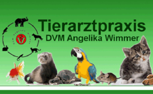 Bild zu Wimmer, Angelika DVM in Dittelstedt Stadt Erfurt