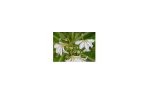 Bild zu Seiffert, Thomas S. Dipl.-Psych. in Erfurt