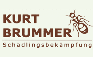Brummer Kurt in Karlsfeld - Logo