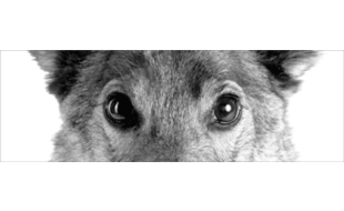 Bild zu Koller Monika Dr. in München