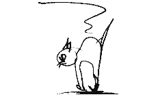 Bild zu Katzenberger Eva Dr. in München