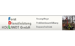 Forstdienstleistung "Hollandt" GmbH in Altersbach Stadt Steinbach-Hallenberg - Logo