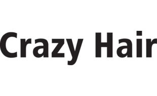 Crazy Hair in Herboldshof Stadt Fürth in Bayern - Logo