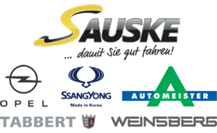 Autohaus Sauske GmbH & Co. KG in Oelsnitz im Erzgebirge - Logo