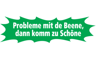 Schöne Dorothee in Pirna - Logo