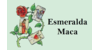 Kundenlogo von Wahrsagerin Esmeralda Maca