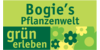 Kundenlogo von Bogie's Pflanzenwelt