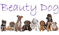 Kundenlogo von Hundesalon - Pension Beauty Dog Inh. Bianca Baier