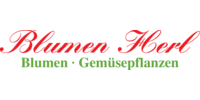 Kundenlogo Blumen Herl