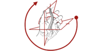 Kundenlogo Widmann Thomas Physio am Park Krankengymnastik, Man.Therapie