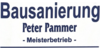 Kundenlogo von Peter Pammer Bausanierung