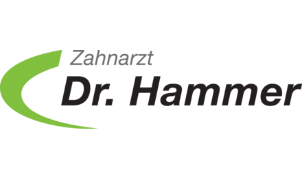 Kundenlogo von Hammer Steffen Dr.