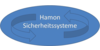 Kundenlogo von Hamon Sicherheitssysteme GmbH