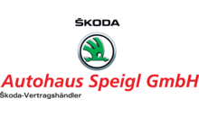 Kundenlogo von Autohaus Speigl GmbH