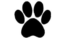 Kundenlogo von Dr. med. vet. Marion Weber-Frisch Tierärztin