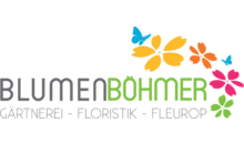Kundenlogo von Blumen Böhmer, Gärtnerei