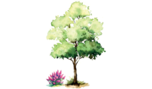 Kundenlogo von Cervinka Garten- und Landschaftsbau