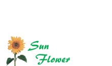 Kundenlogo von Blumen Sun Flower