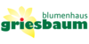 Kundenlogo von Blumenhaus Griesbaum