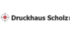 Kundenlogo von Druckhaus Scholz