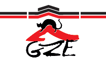 Kundenlogo von GZE Dach+Fassade GmbH