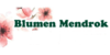 Kundenlogo von Blumen Mendrok Inh. Blumen Berner e.K.