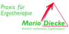 Kundenlogo von Diecke Mario