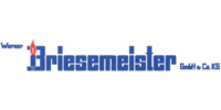 Kundenlogo Briesemeister Werner GmbH & Co. KG