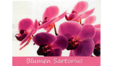 Kundenlogo von Blumen Sartorius