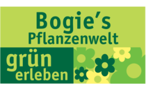 Logo Bogie's Pflanzenwelt Meerbusch