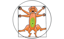 FirmenlogoGörlitz Susanne Velbert