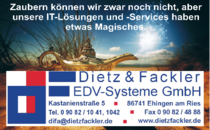 Logo Dietz & Fackler Computersysteme Ehingen