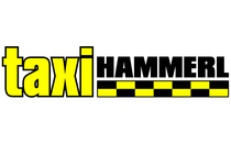 Logo TAXI HAMMERL Moosburg