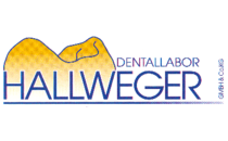 Logo Dentallabor Hallweger GmbH & Co. KG Traunreut