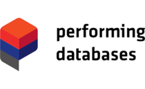 Logo Performing Databases GmbH Mitterteich