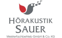 FirmenlogoHörakustik Sauer GmbH & Co. KG Straubing