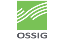 Logo Steuerberatungsgesellschaft mbH Ossig Bad Kissingen