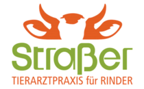 Logo Straßer Florian Sondorf/Hunding