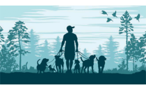 FirmenlogoWuff-Ontour – Hundetraining & Gassi-Service Coburg