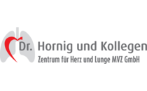 Logo Hornig Dr. & Kollegen Bayreuth