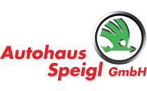 Logo Autohaus Speigl GmbH Chamerau