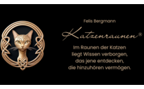 FirmenlogoBergmann Felis Nürnberg