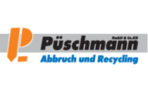 Logo Püschmann GmbH & Co. KG Lugau
