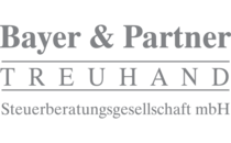 Logo Bayer & Partner TREUHAND Chemnitz