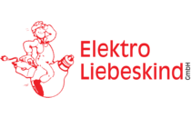 Logo Elektro Liebeskind GmbH Offenbach