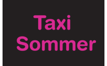 Logo Taxi J. Sommer Bad Elster